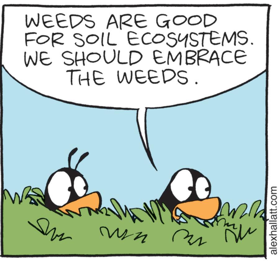 Agriculture OCR: WEEDS ARE GOOD FOR SOIL ECOSYSTEMS. WE SHOULD EMBRACE THE WEEDS. WAS WIN alexhallatt.com WEEDS ARE GOOD FOR SOIL ECOSYSTEMS . WE SHOULD EMBRACE THE WEEDS . WAS WIN alexhallatt.com