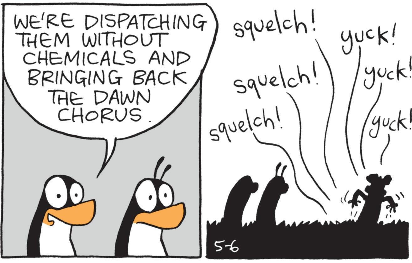 Flightless bird OCR: WE'RE DISPATCHING THEM WITHOUT CHEMICALS AND BRINGING BACK THE DAWN CHORUS squelch! yuck! squelch! yuck! squelch! /yuck! 5-6 WE'RE DISPATCHING THEM WITHOUT CHEMICALS AND BRINGING BACK THE DAWN CHORUS squelch ! yuck ! squelch ! yuck ! squelch ! / yuck ! 5-6