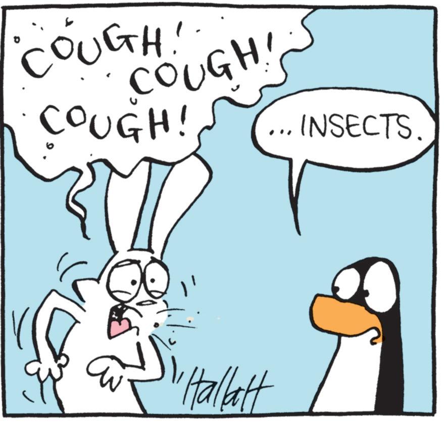 Pleased OCR: COUGH! 'COUGH! COUGH! INSECTS. "Hallat COUGH ! ' COUGH ! COUGH ! INSECTS . " Hallat