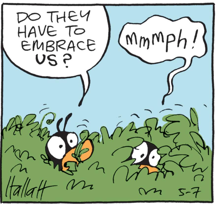 Beak OCR: DO THEY HAVE TO EMBRACE US? mmmph! ?? ? Hallatt ?? w m ?? 5-7 DO THEY HAVE TO EMBRACE US ? mmmph ! ?? ? Hallatt ?? w m ?? 5-7