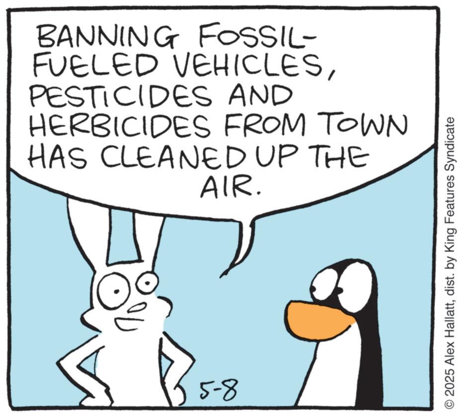 Line art OCR: BANNING FOSSIL- FUELED VEHICLESPESTICIDES AND HERBICIDES FROM TOWN HAS CLEANED UP THE AIR. 5-8 O2025 Alex Hallattdist. by King Features Syndicate BANNING FOSSIL- FUELED VEHICLESPESTICIDES AND HERBICIDES FROM TOWN HAS CLEANED UP THE AIR . 5-8 O2025 Alex Hallattdist . by King Features Syndicate
