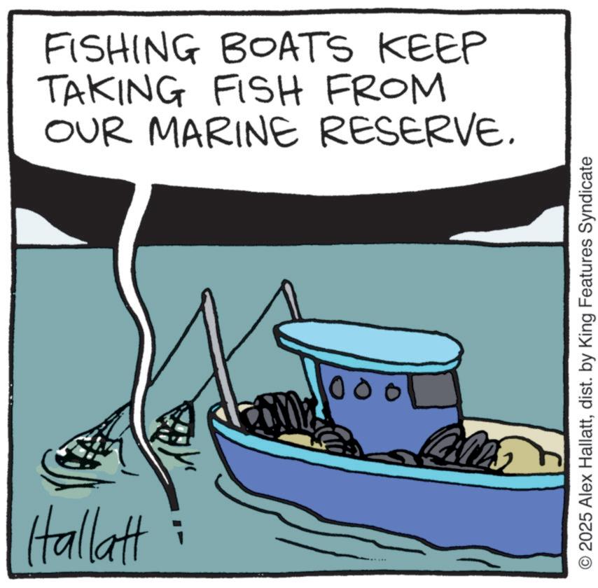 Graphics OCR: Hallatt FISHING BOATS KEEP TAKING FISH FROM OUR MARINE RESERVE. 000 O 2025 Alex Hallattdist. by King Features Syndicate Hallatt FISHING BOATS KEEP TAKING FISH FROM OUR MARINE RESERVE . 000 O 2025 Alex Hallattdist . by King Features Syndicate