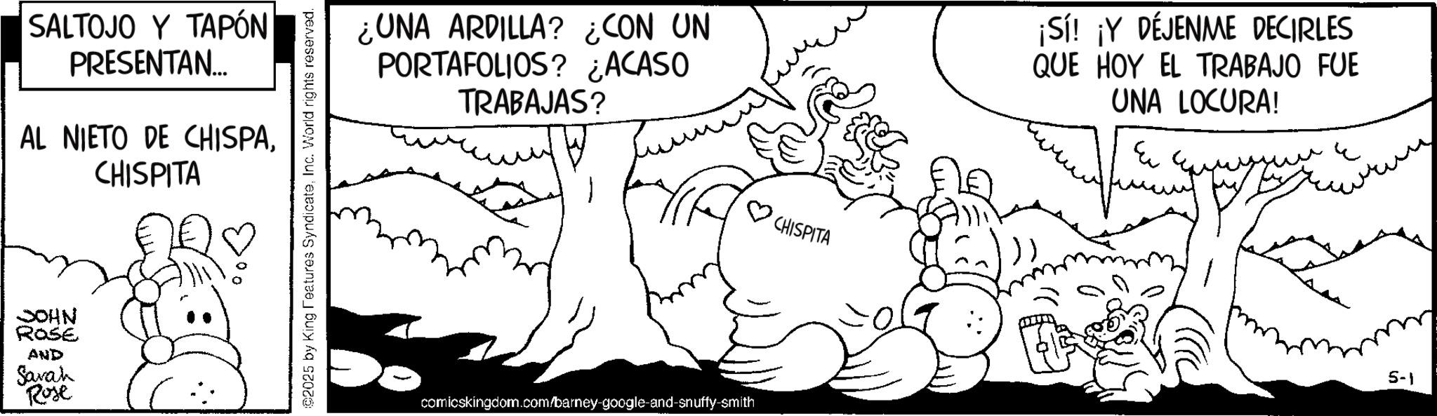 Illustration OCR: SALTOJO Y TAPÓN PRESENTAN... AL NIETO DE CHISPACHISPITA JOHN Rose AND Sarah Rose ©2025 by King Features SyndicateInc. World rights reserved. ¿UNA ARDILLA? ¿CON UN PORTAFOLIOS? ¿ACASO TRABAJAS? ¡Sí! ¡Y DÉJENME DECIRLES QUE HOY EL TRABAJO FUE UNA LOCURA! Eu comicskingdom.com/barney-google-and-snuffy-smith 0 CHISPITA 5-1 SALTOJO Y TAPÓN PRESENTAN ... AL NIETO DE CHISPACHISPITA JOHN Rose AND Sarah Rose © 2025 by King Features SyndicateInc. World rights reserved . ¿ UNA ARDILLA ? ¿ CON UN PORTAFOLIOS ? ¿ ACASO TRABAJAS ? ¡ Sí ! ¡ Y DÉJENME DECIRLES QUE HOY EL TRABAJO FUE UNA LOCURA ! Eu comicskingdom.com/barney-google-and-snuffy-smith 0 CHISPITA 5-1