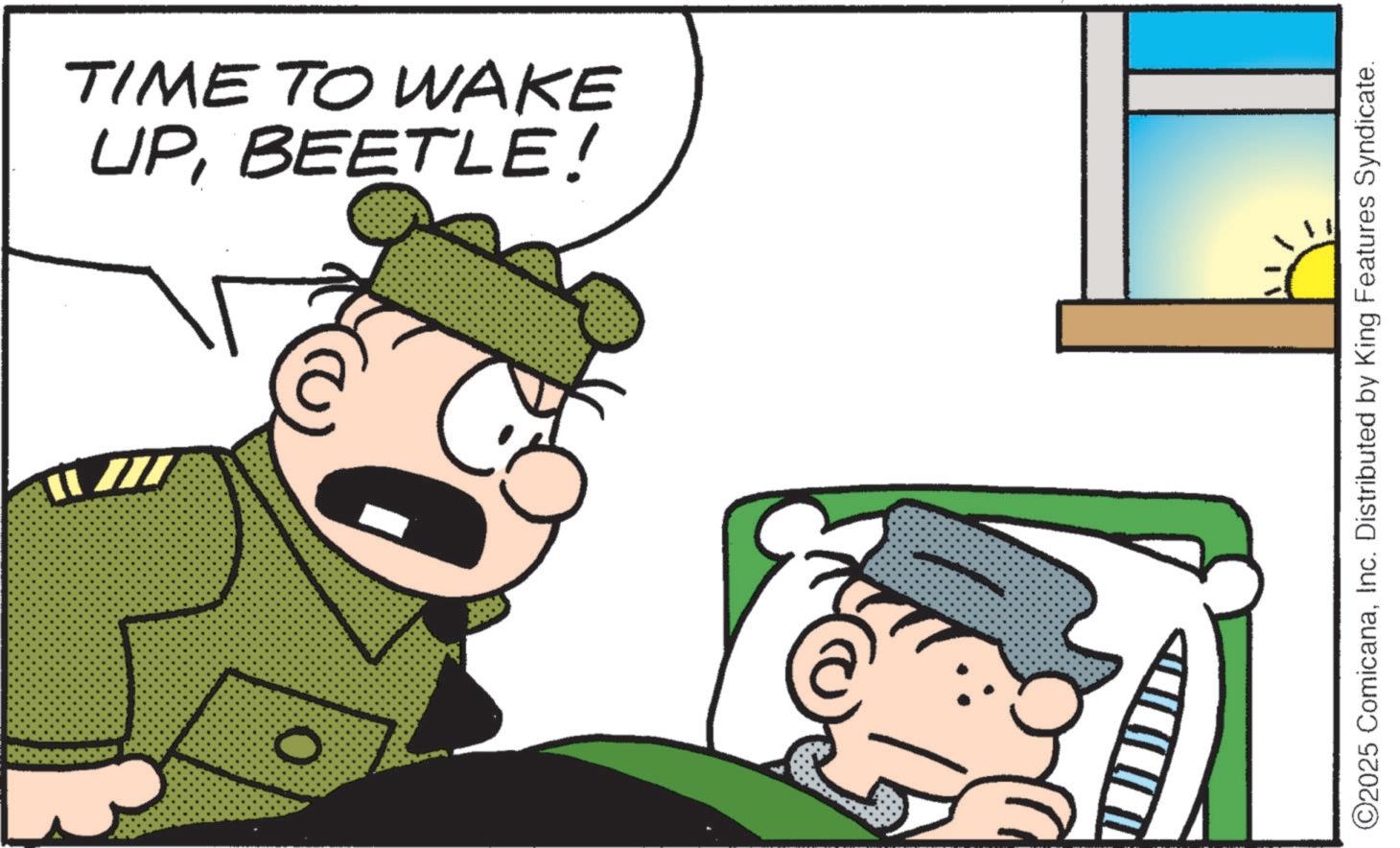 Photo caption OCR: UPBEETLE! TIME TO WAKE ©2025 ComicanaInc. Distributed by King Features Syndicate. UPBEETLE ! TIME TO WAKE © 2025 ComicanaInc. Distributed by King Features Syndicate .