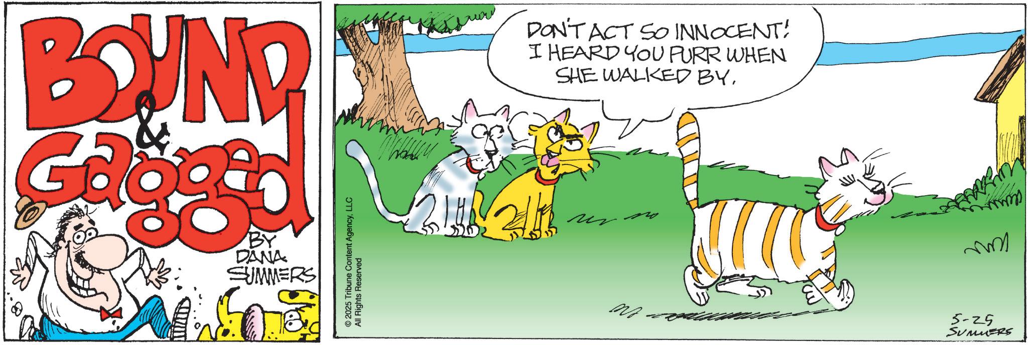 Graphics OCR: BOUND BY DANA SUMMERS © 2025 Tribune Content AgencyLLC All Rights Reserved DON'T ACT SO INNOCENT! I HEARD YOU PURR WHEN SHE WALKED BY? 5-25 SUMMERS BOUND BY DANA SUMMERS © 2025 Tribune Content AgencyLLC All Rights Reserved DON'T ACT SO INNOCENT ! I HEARD YOU PURR WHEN SHE WALKED BY? 5-25 SUMMERS