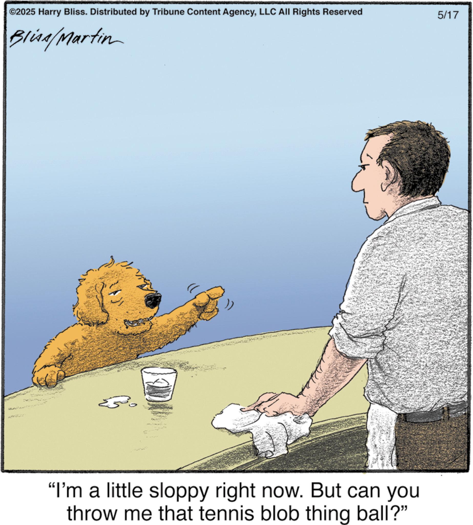 Toy dog OCR: ©2025 Harry Bliss. Distributed by Tribune Content AgencyLLC All Rights Reserved Bliss/Martin "I'm a little sloppy right now. But can you throw me that tennis blob thing ball?" 5/17 © 2025 Harry Bliss . Distributed by Tribune Content AgencyLLC All Rights Reserved Bliss / Martin " I'm a little sloppy right now . But can you throw me that tennis blob thing ball ? " 5/17