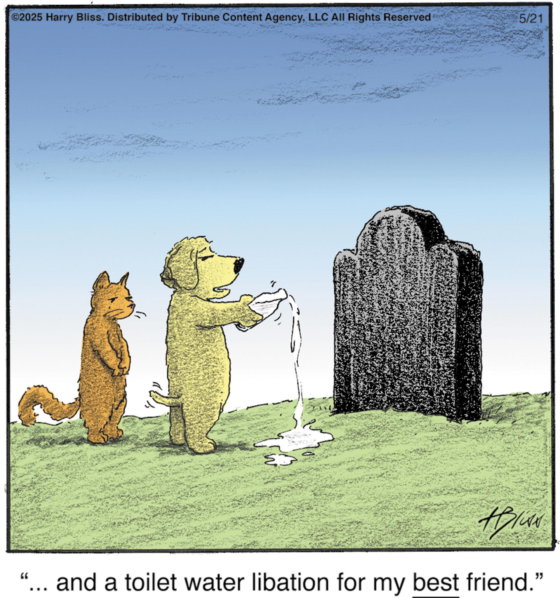 Canidae OCR: ©2025 Harry Bliss. Distributed by Tribune Content AgencyLLC All Rights Reserved 5/21 HBWA "... and a toilet water libation for my best friend.” © 2025 Harry Bliss . Distributed by Tribune Content AgencyLLC All Rights Reserved 5/21 HBWA " ... and a toilet water libation for my best friend . ”