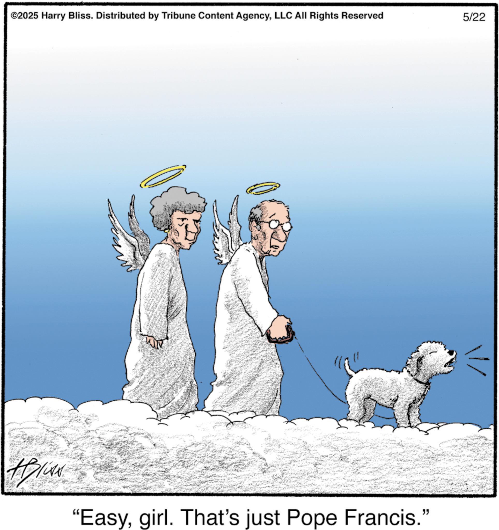 Fictional character OCR: ©2025 Harry Bliss. Distributed by Tribune Content AgencyLLC All Rights Reserved 5/22 "Easygirl. That's just Pope Francis." © 2025 Harry Bliss . Distributed by Tribune Content AgencyLLC All Rights Reserved 5/22 " Easygirl . That's just Pope Francis . "