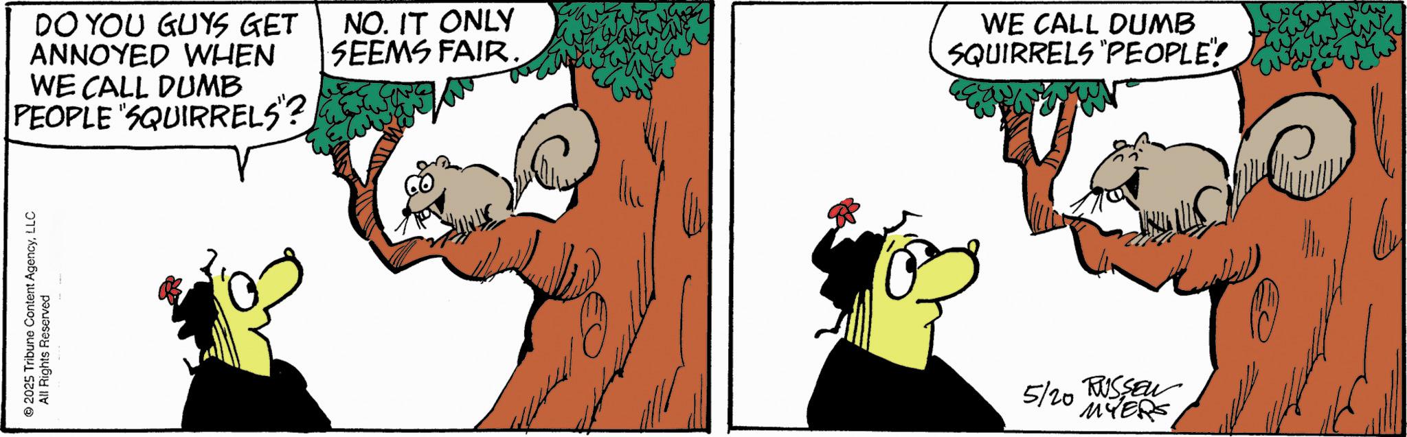 Comics OCR: 2025 Tribune Content AgencyLLC All Rights Reserved DO YOU GUYS GET ANNOYED WHEN WE CALL DUMB PEOPLE SQUIRRELS"? NO. IT ONLY SEEMS FAIR. WE CALL DUMB SQUIRRELS "PEOPLE" Every 5/20 RUSSEL MYERS 2025 Tribune Content AgencyLLC All Rights Reserved DO YOU GUYS GET ANNOYED WHEN WE CALL DUMB PEOPLE SQUIRRELS " ? NO . IT ONLY SEEMS FAIR . WE CALL DUMB SQUIRRELS " PEOPLE " Every 5/20 RUSSEL MYERS