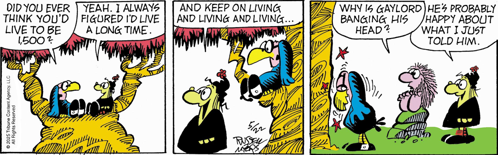 Publication OCR: DID YOU EVER | YEAH. I ALWAYS THINK YOU'D LIVE TO BE FIGURED I'D LIVE AND KEEP ON LIVING AND LIVING AND LIVING... A LONG TIME. 1500? 2025 Tribune Content Agency. LLC All Rights Reserved 5/22 RUSSEL MYERS WHY IS GAYLORD HE'S PROBABLY BANGING HIS HEAD? HAPPY ABOUT WHAT I JUST TOLD HIM. DID YOU EVER | YEAH . I ALWAYS THINK YOU'D LIVE TO BE FIGURED I'D LIVE AND KEEP ON LIVING AND LIVING AND LIVING ... A LONG TIME . 1500 ? 2025 Tribune Content Agency . LLC All Rights Reserved 5/22 RUSSEL MYERS WHY IS GAYLORD HE'S PROBABLY BANGING HIS HEAD ? HAPPY ABOUT WHAT I JUST TOLD HIM .
