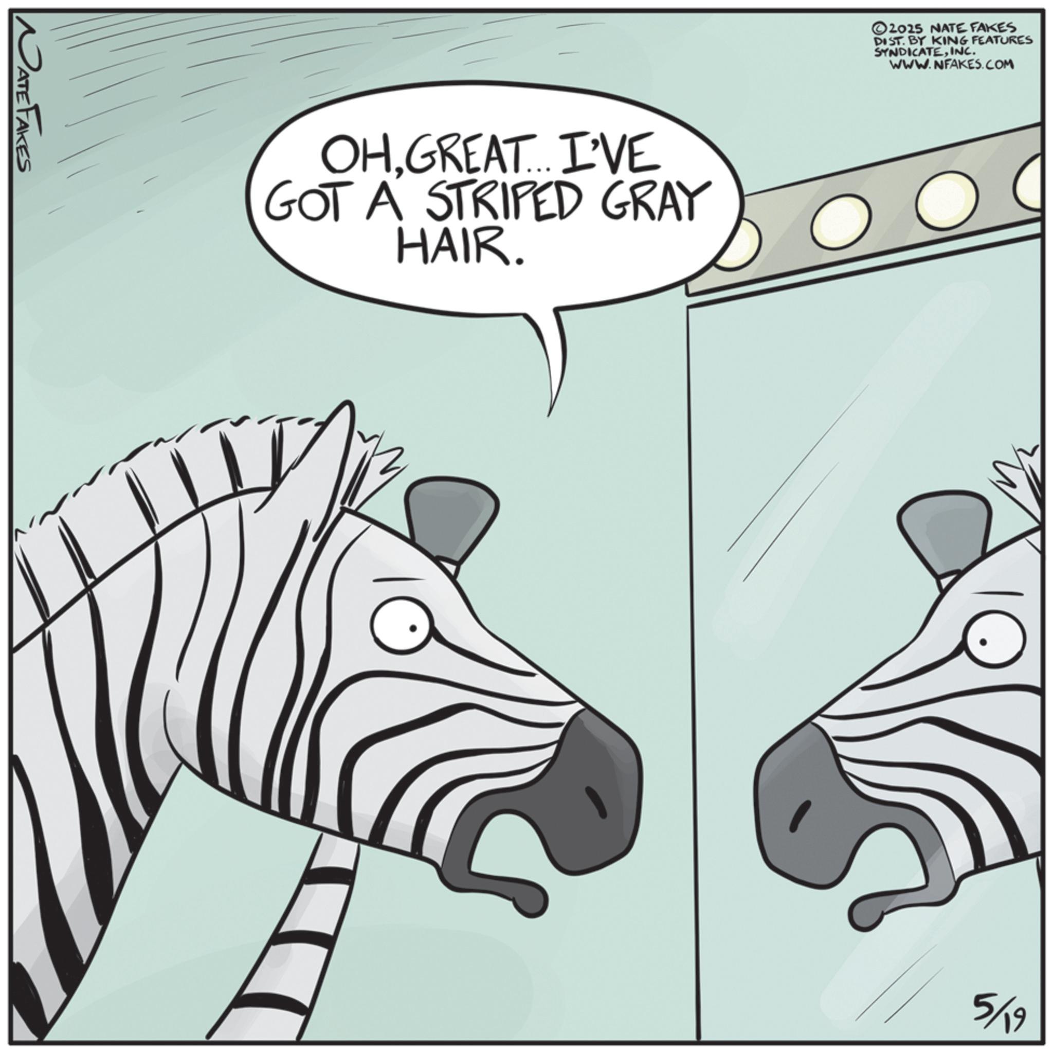 Comics OCR: NATE FAKES ©2025 NATE FAKES DIST. BY KING FEATURES SYNDICATEINC. WWW.NFAKES.COM OHGREAT... I'VE GOT A STRIPED GRAY HAIR. ?? 5/19 NATE FAKES © 2025 NATE FAKES DIST . BY KING FEATURES SYNDICATEINC . WWW.NFAKES.COM OHGREAT ... I'VE GOT A STRIPED GRAY HAIR . ?? 5/19