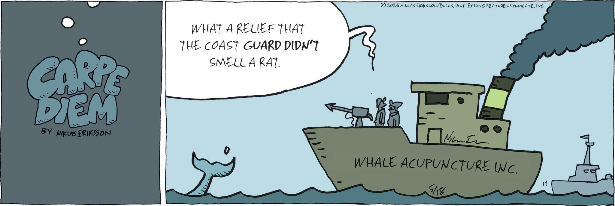 Graphics OCR: CARPE DIEM BY NIKLAS ERIKSSON WHAT A RELIEF THAT THE COAST GUARD DIDN'T SMELL A RAT. 2025NIKLAS ERIKSSON/BULLSINC. ????? WHALE ACUPUNCTURE INC. 5/18 = CARPE DIEM BY NIKLAS ERIKSSON WHAT A RELIEF THAT THE COAST GUARD DIDN'T SMELL A RAT . 2025NIKLAS ERIKSSON / BULLSDIST . BY KING FEATURES SYNDICATEINC . ????? WHALE ACUPUNCTURE INC . 5/18 =