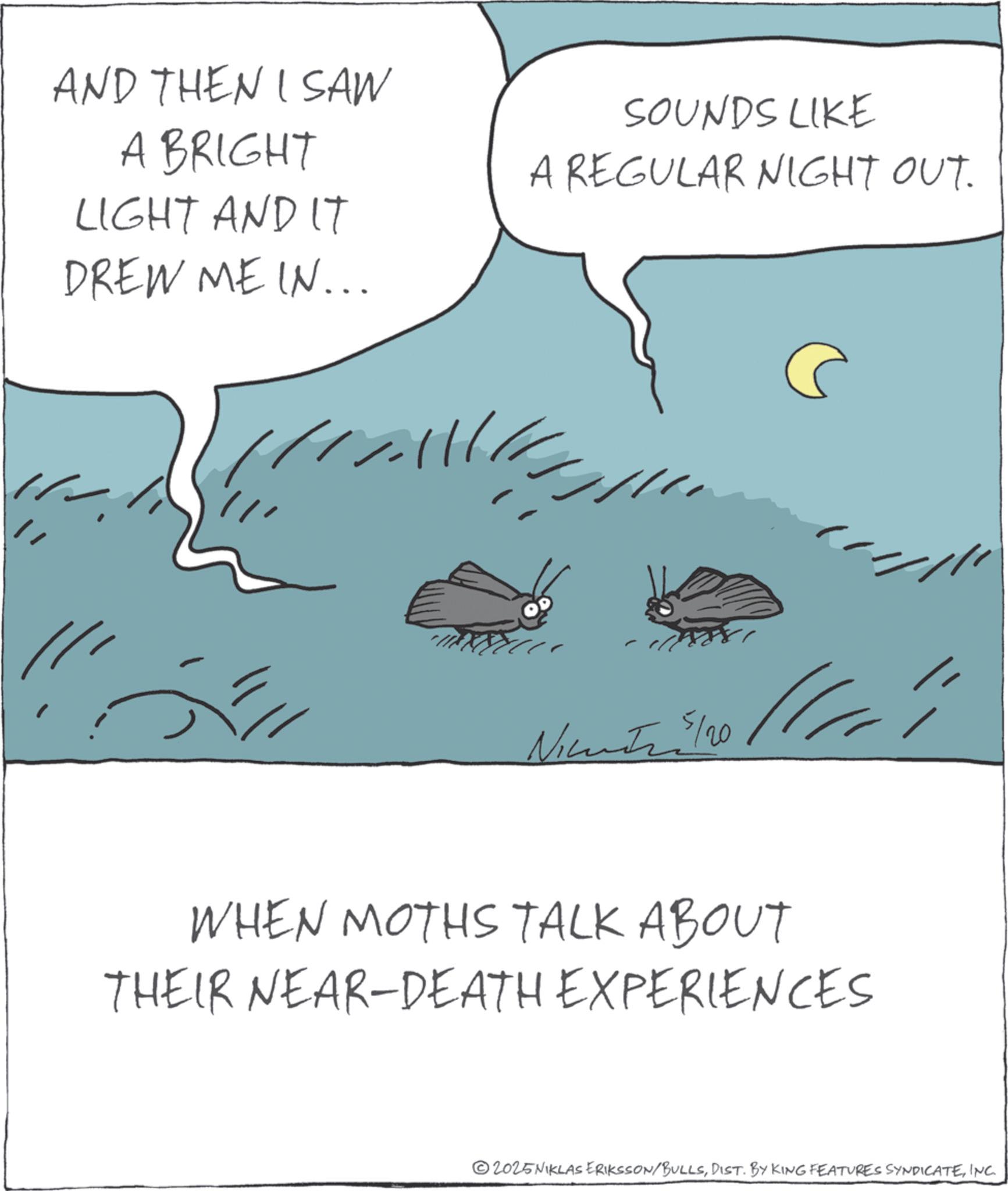 Photo caption OCR: AND THEN I SAW A BRIGHT LIGHT AND IT SOUNDS LIKE A REGULAR NIGHT OUT. DREW ME IN... Nice5/20 / WHEN MOTHS TALK ABOUT THEIR NEAR-DEATH EXPERIENCES 2025NIKLAS ERIKSSON/BULLSINC. AND THEN I SAW A BRIGHT LIGHT AND IT SOUNDS LIKE A REGULAR NIGHT OUT . DREW ME IN ... Nice5 / 20 / WHEN MOTHS TALK ABOUT THEIR NEAR - DEATH EXPERIENCES 2025NIKLAS ERIKSSON / BULLSDIST . BY KING FEATURES SYNDICATEINC .