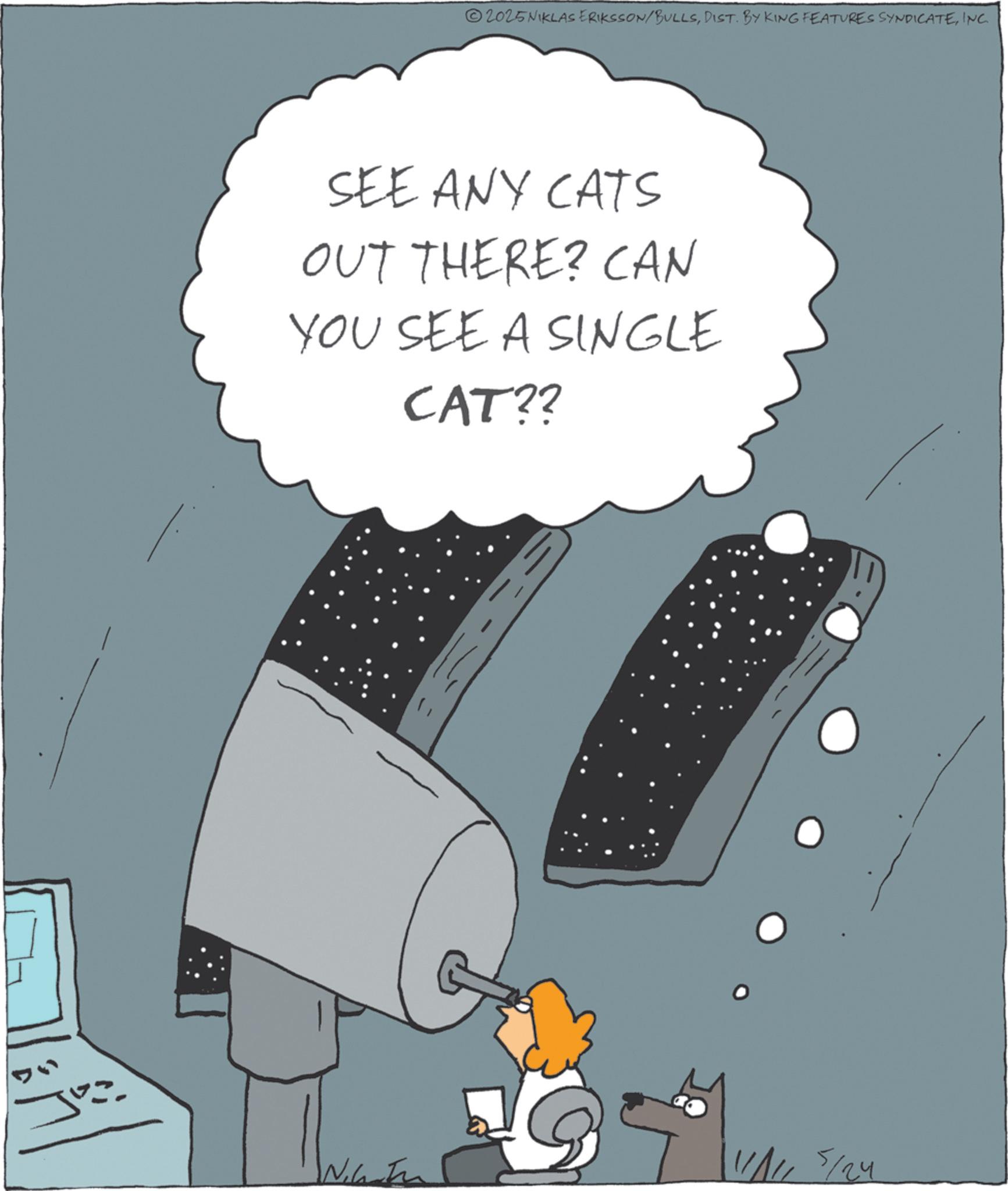 Animated cartoon OCR: 2025NIKLAS ERIKSSON/BULLSINC. SEE ANY CATS OUT THERE? CAN YOU SEE A SINGLE CAT?? 1/1 5/24 2025NIKLAS ERIKSSON / BULLSDIST . BY KING FEATURES SYNDICATEINC . SEE ANY CATS OUT THERE ? CAN YOU SEE A SINGLE CAT ?? 1/1 5/24