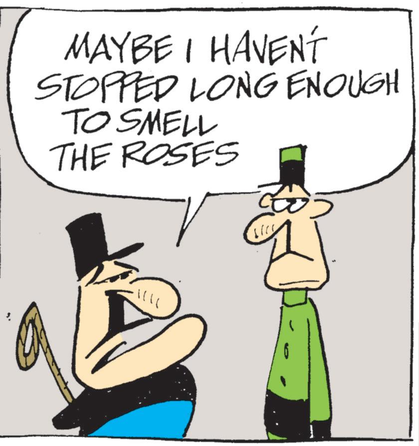 Fiction OCR: MAYBE I HAVEN'T STOPPED LONG ENOUGH TO SMELL THE ROSES MAYBE I HAVEN'T STOPPED LONG ENOUGH TO SMELL THE ROSES