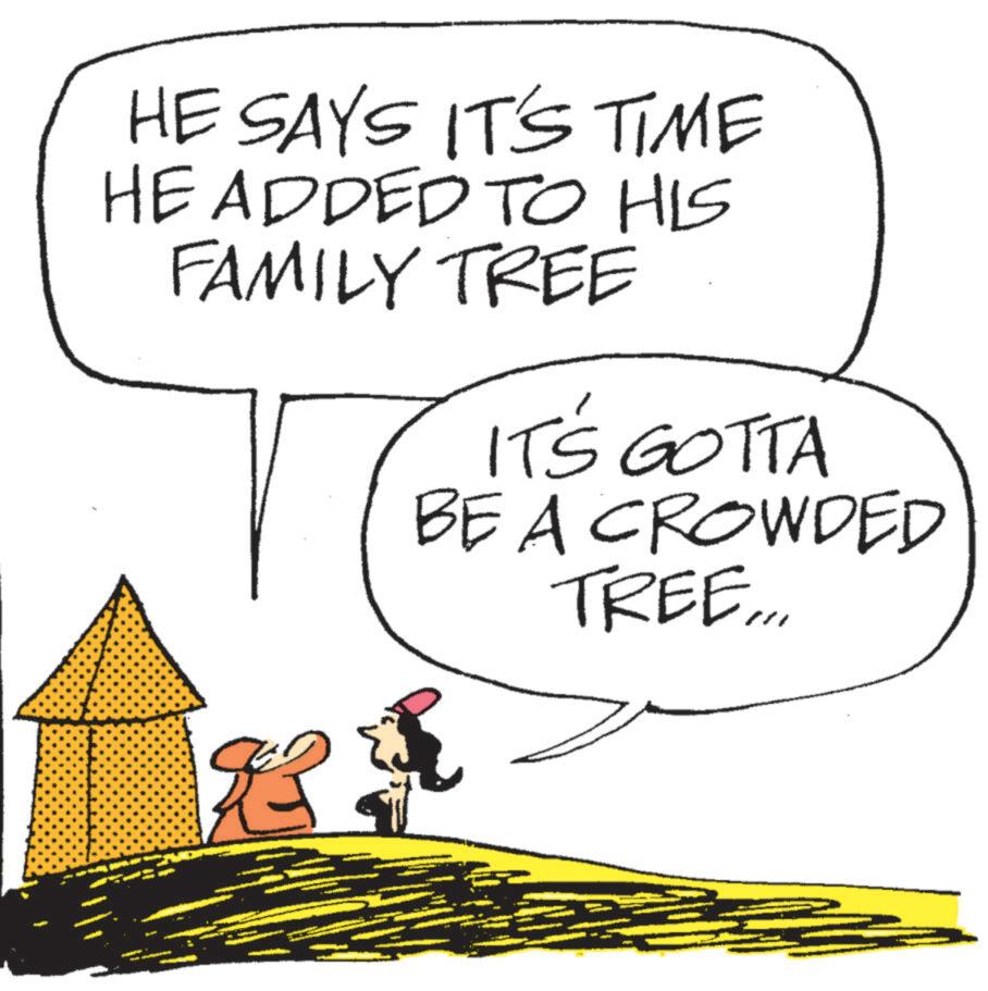 Fiction OCR: HE SAYS IT'S TIME HE ADDED TO HIS FAMILY TREE IT'S GOTTA BE A CROWDED TREE... HE SAYS IT'S TIME HE ADDED TO HIS FAMILY TREE IT'S GOTTA BE A CROWDED TREE ...