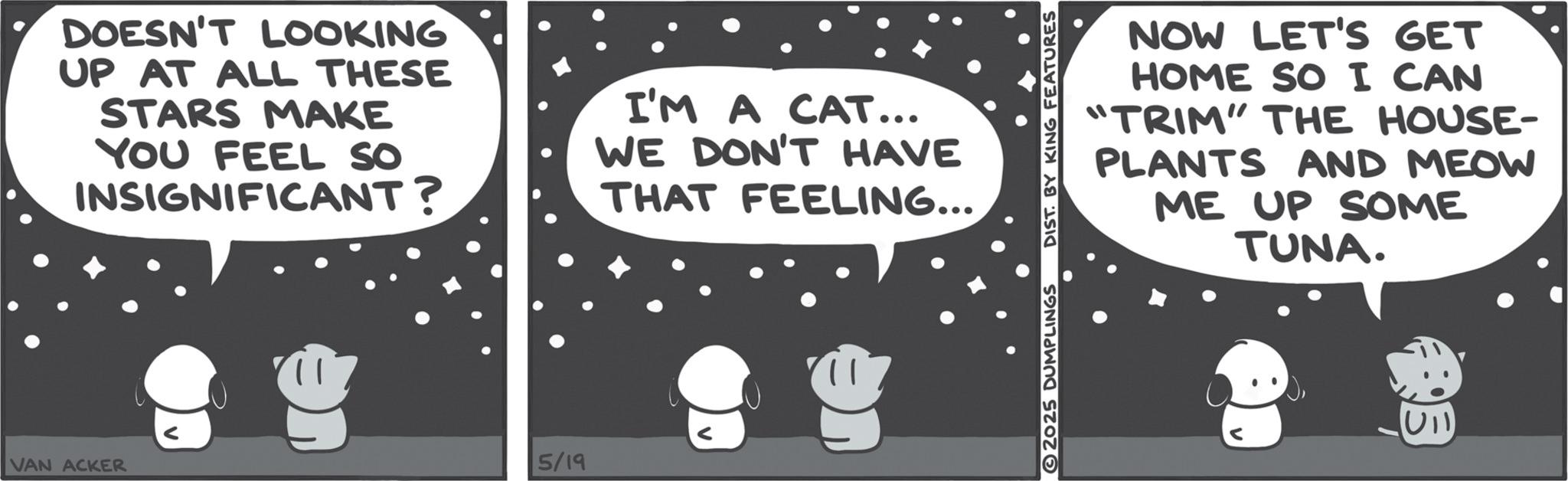 Fictional character OCR: DOESN'T LOOKING UP AT ALL THESE STARS MAKE YOU FEEL SO INSIGNIFICANT? I'M A CAT... WE DON'T HAVE THAT FEELING... VAN ACKER 5/19 NOW LET'S GET HOME SO I CAN "TRIM" THE HOUSE- PLANTS AND MEOW ME UP SOME TUNA. 2025 DUMPLINGS DIST. BY KING FEATURES DOESN'T LOOKING UP AT ALL THESE STARS MAKE YOU FEEL SO INSIGNIFICANT ? I'M A CAT ... WE DON'T HAVE THAT FEELING ... VAN ACKER 5/19 NOW LET'S GET HOME SO I CAN " TRIM " THE HOUSE- PLANTS AND MEOW ME UP SOME TUNA . 2025 DUMPLINGS DIST . BY KING FEATURES