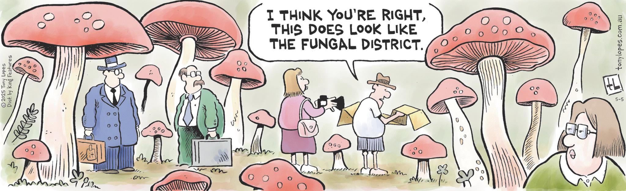 Natural foods OCR: 2025 Tony Lopes Dist. by King Features 0 0 I THINK YOU'RE RIGHTTHIS DOES LOOK LIKE THE FUNGAL DISTRICT. M ? * 5-5 tonylopes.com.au 2025 Tony Lopes Dist . by King Features 0 0 I THINK YOU'RE RIGHTTHIS DOES LOOK LIKE THE FUNGAL DISTRICT . M ? * 5-5 tonylopes.com.au