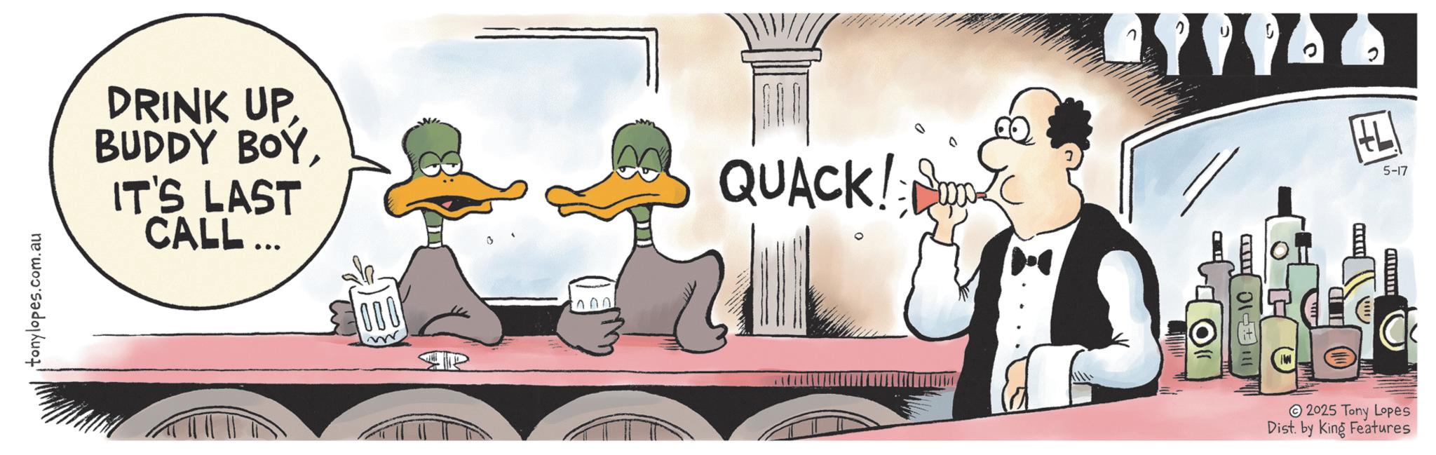 Animated cartoon OCR: tonylopes.com.au DRINK UP BUDDY BOYIT'S LAST CALL... ????? P 000 QUACK! ? ID. 2025 Tony Lopes Dist. by King Features ? 5-17 tonylopes.com.au DRINK UP BUDDY BOYIT'S LAST CALL ... ???? ? P 000 QUACK ! ? ID . 2025 Tony Lopes Dist . by King Features ? 5-17