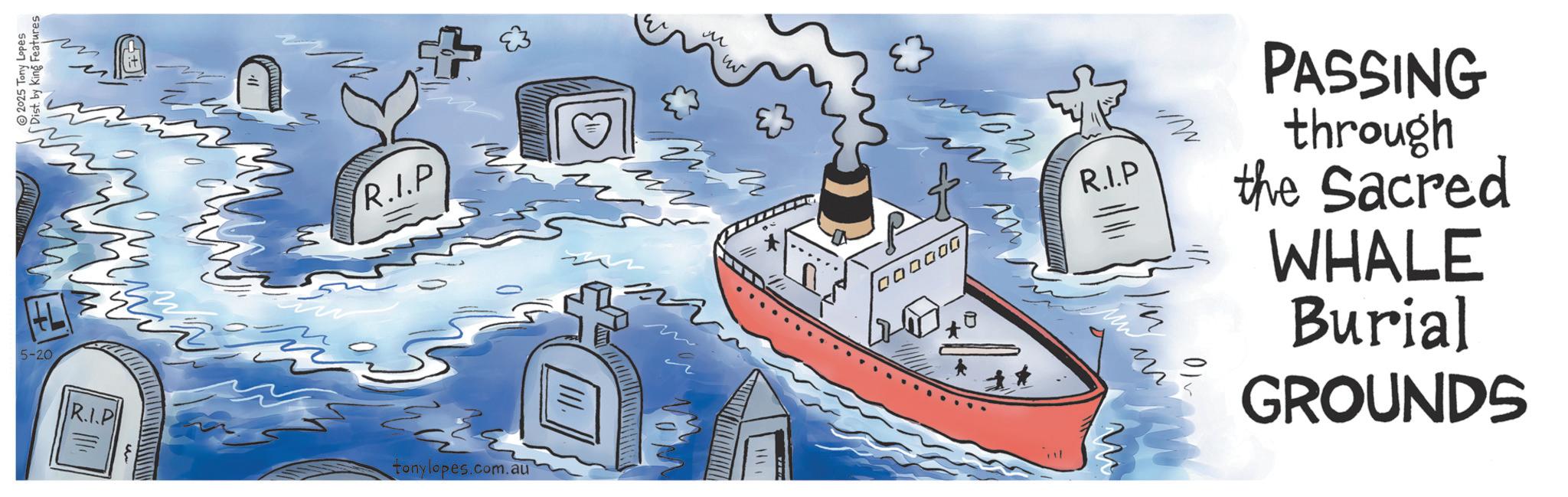 Ship OCR: 2025 Tony Lopes Dist. by King Features 5-20 R.I.P ??? R.I.P tonylopes.com.au 2 ? 000000 R.I.P ?? M 10 PASSING through the Sacred WHALE Burial GROUNDS 2025 Tony Lopes Dist . by King Features 5-20 R.I.P ??? R.I.P tonylopes.com.au 2 ? 000000 R.I.P ?? M 10 PASSING through the Sacred WHALE Burial GROUNDS