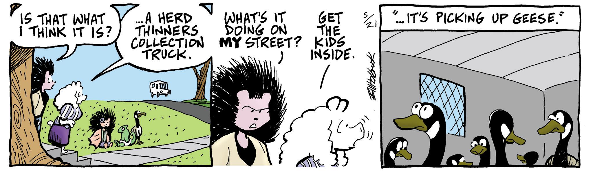 Fictional character OCR: ? WHAT'S IT GET 5/21 " "... IT'S PICKING UP GEESE." DOING ON THE COLLECTION MY STREET? KIDS TRUCK. INSIDE. IS THAT WHAT I THINK IT IS? ...A HERD THINNERS ? WHAT'S IT GET 5/21 " " ... IT'S PICKING UP GEESE . " DOING ON THE COLLECTION MY STREET ? KIDS TRUCK . INSIDE . IS THAT WHAT I THINK IT IS ? ... A HERD THINNERS