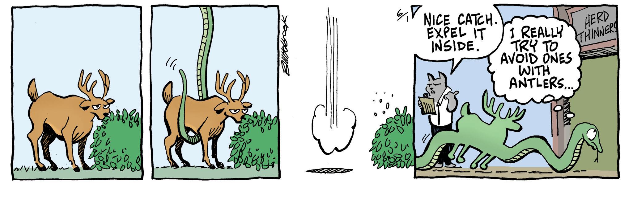 Pack animal OCR: 300084 11 70099 NICE CATCH. EXPEL IT INSIDE. I REALLY TRY TO AVOID ONES WITH ANTLERS.... HERD THINNERS 300084 11 70099 NICE CATCH . EXPEL IT INSIDE . I REALLY TRY TO AVOID ONES WITH ANTLERS .... HERD THINNERS