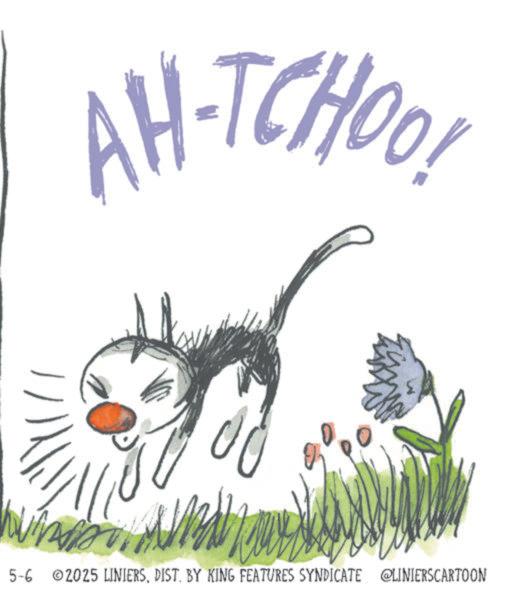 Graphics OCR: AH-TCHOOL 5-6 2025 LINIERSDIST. BY KING FEATURES SYNDICATE @LINIERSCARTOON AH - TCHOOL 5-6 2025 LINIERSDIST . BY KING FEATURES SYNDICATE @LINIERSCARTOON