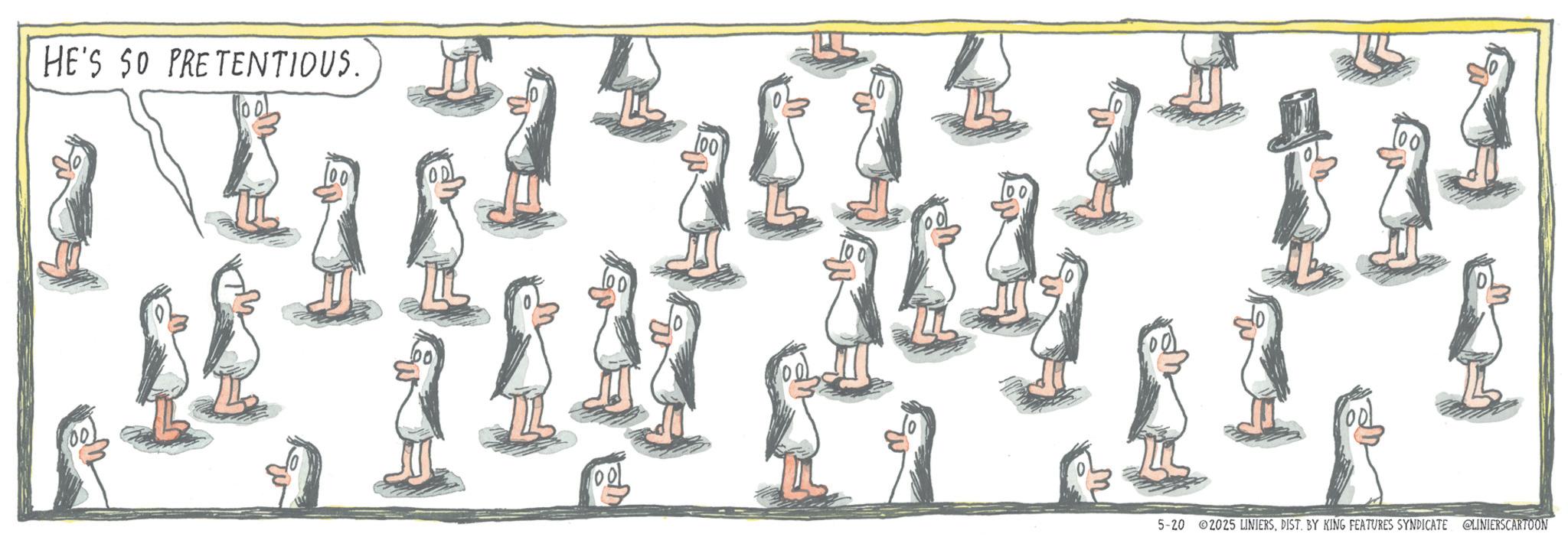 Animation OCR: HE'S SO PRETENTIOUS. 5-20 2025 LINJERSDIST. BY KING FEATURES SYNDICATE OLINIERSCARTOON HE'S SO PRETENTIOUS . 5-20 2025 LINJERSDIST . BY KING FEATURES SYNDICATE OLINIERSCARTOON