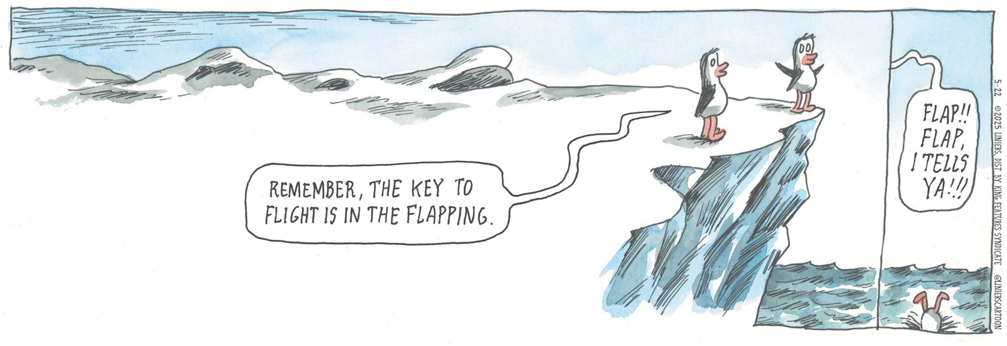 Adventure OCR: REMEMBERTHE KEY TO FLIGHT IS IN THE FLAPPING. FLAP!! FLAP ITELLS YA!!! 5-22 2025 LINIERSDIST. BY KING FEATURES SYNDICATE @LINIERSCARTOON REMEMBERTHE KEY TO FLIGHT IS IN THE FLAPPING . FLAP !! FLAP ITELLS YA !!! 5-22 2025 LINIERSDIST . BY KING FEATURES SYNDICATE @LINIERSCARTOON