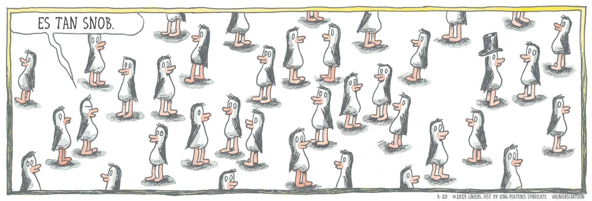 Animation OCR: ES TAN SNOB. 00 5-20 2025 LINIERSDIST. BY KING FEATURES SYNDICATE LINIERSCARTOON ES TAN SNOB . 00 5-20 2025 LINIERSDIST . BY KING FEATURES SYNDICATE LINIERSCARTOON