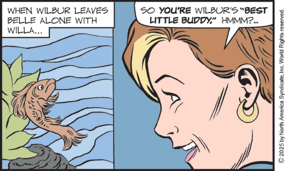 Fictional character OCR: WHEN WILBUR LEAVES BELLE ALONE WITH WILLA... SO YOU'RE WILBUR'S "BEST LITTLE BUDDY" HMMM?... 2025 by North America SyndicateInc. World Rights reserved. WHEN WILBUR LEAVES BELLE ALONE WITH WILLA ... SO YOU'RE WILBUR'S " BEST LITTLE BUDDY" HMMM ? ... 2025 by North America SyndicateInc. World Rights reserved .