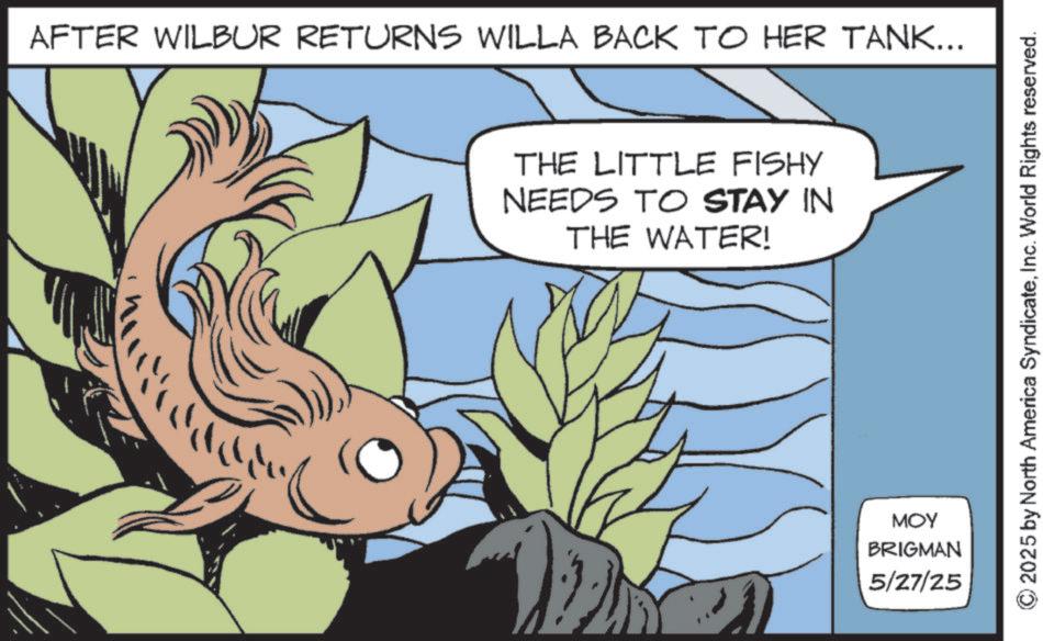 Fiction OCR: AFTER WILBUR RETURNS WILLA BACK TO HER TANK... ? THE LITTLE FISHY NEEDS TO STAY IN THE WATER! MOY BRIGMAN 5/27/25 © 2025 by North America SyndicateInc. World Rights reserved. AFTER WILBUR RETURNS WILLA BACK TO HER TANK ... ? THE LITTLE FISHY NEEDS TO STAY IN THE WATER ! MOY BRIGMAN 5/27/25 © 2025 by North America SyndicateInc. World Rights reserved .