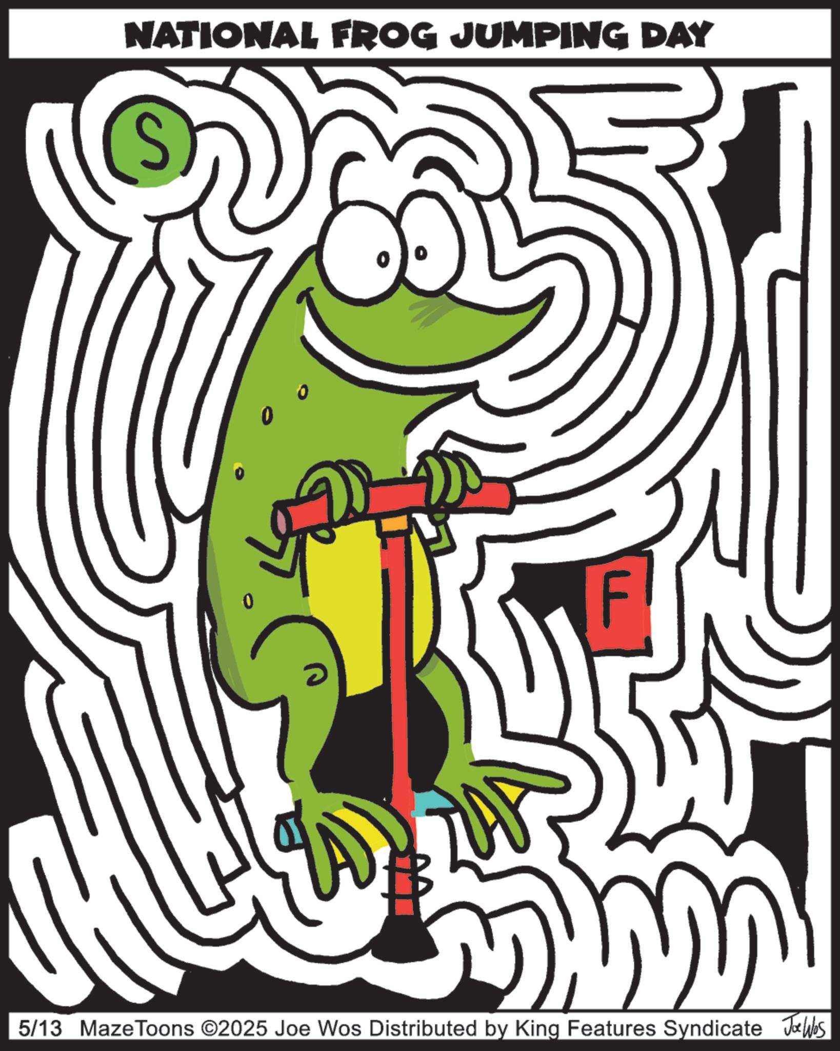 Graphic design OCR: NATIONAL FROG JUMPING DAY 2 F 5/13 MazeToons ©2025 Joe Wos Distributed by King Features Syndicate Joe Was NATIONAL FROG JUMPING DAY 2 F 5/13 MazeToons © 2025 Joe Wos Distributed by King Features Syndicate Joe Was