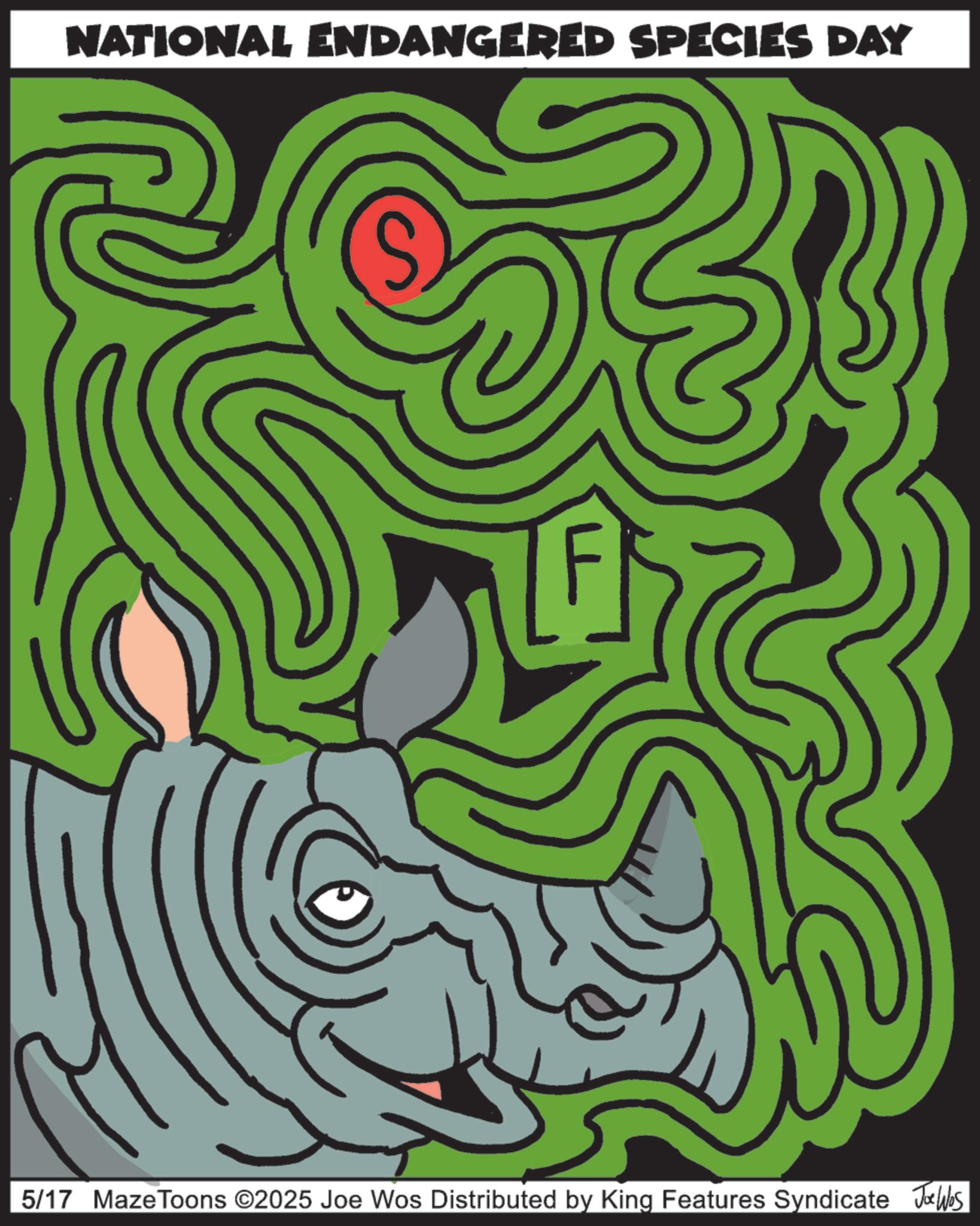 Graphic design OCR: NATIONAL ENDANGERED SPECIES DAY 5/17 MazeToons ©2025 Joe Wos Distributed by King Features Syndicate Joe Was NATIONAL ENDANGERED SPECIES DAY 5/17 MazeToons © 2025 Joe Wos Distributed by King Features Syndicate Joe Was
