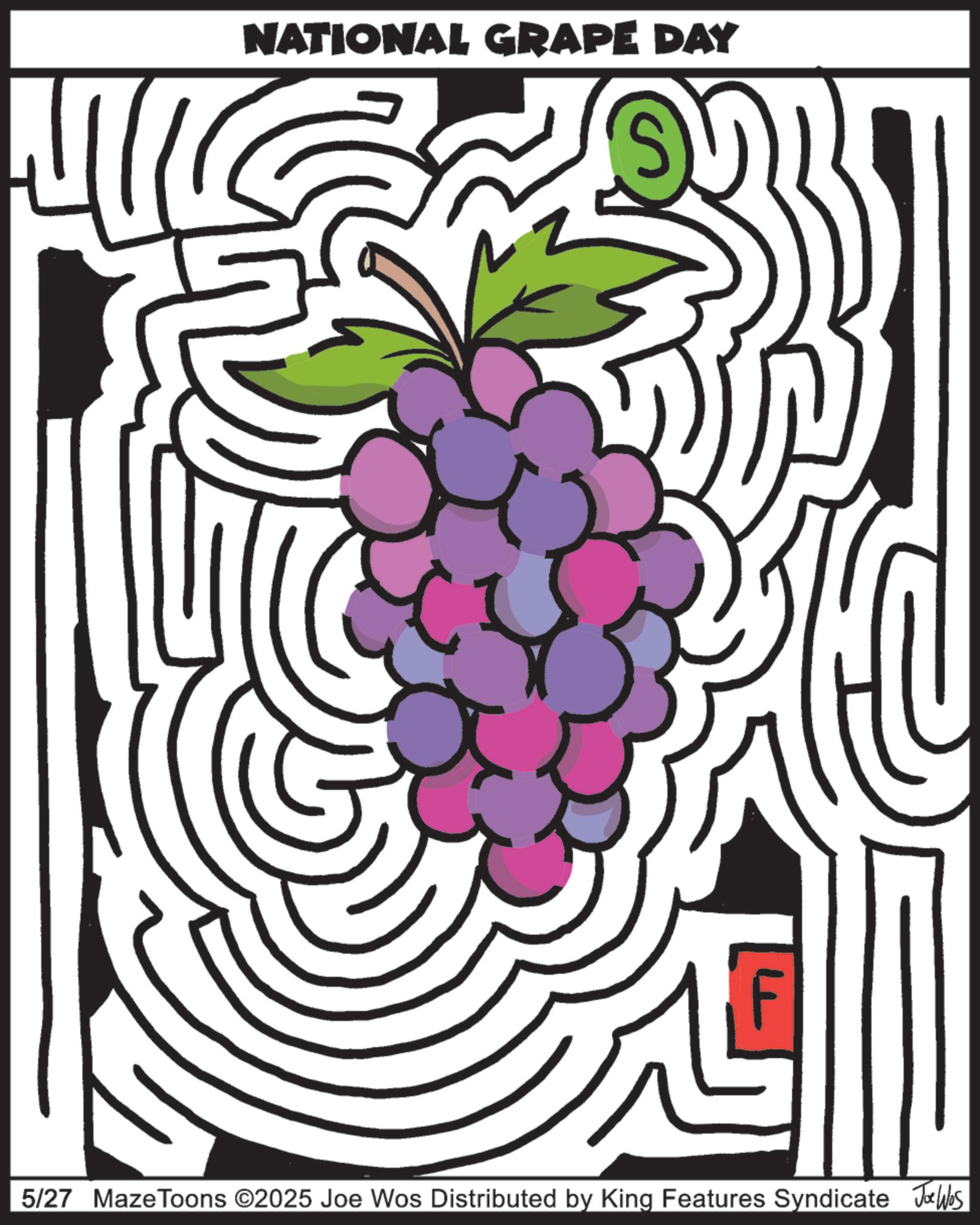 Grapevines OCR: 4 NATIONAL GRAPE DAY 5/27 Maze Toons ©2025 Joe Wos Distributed by King Features Syndicate Jobs 4 NATIONAL GRAPE DAY 5/27 Maze Toons © 2025 Joe Wos Distributed by King Features Syndicate Jobs