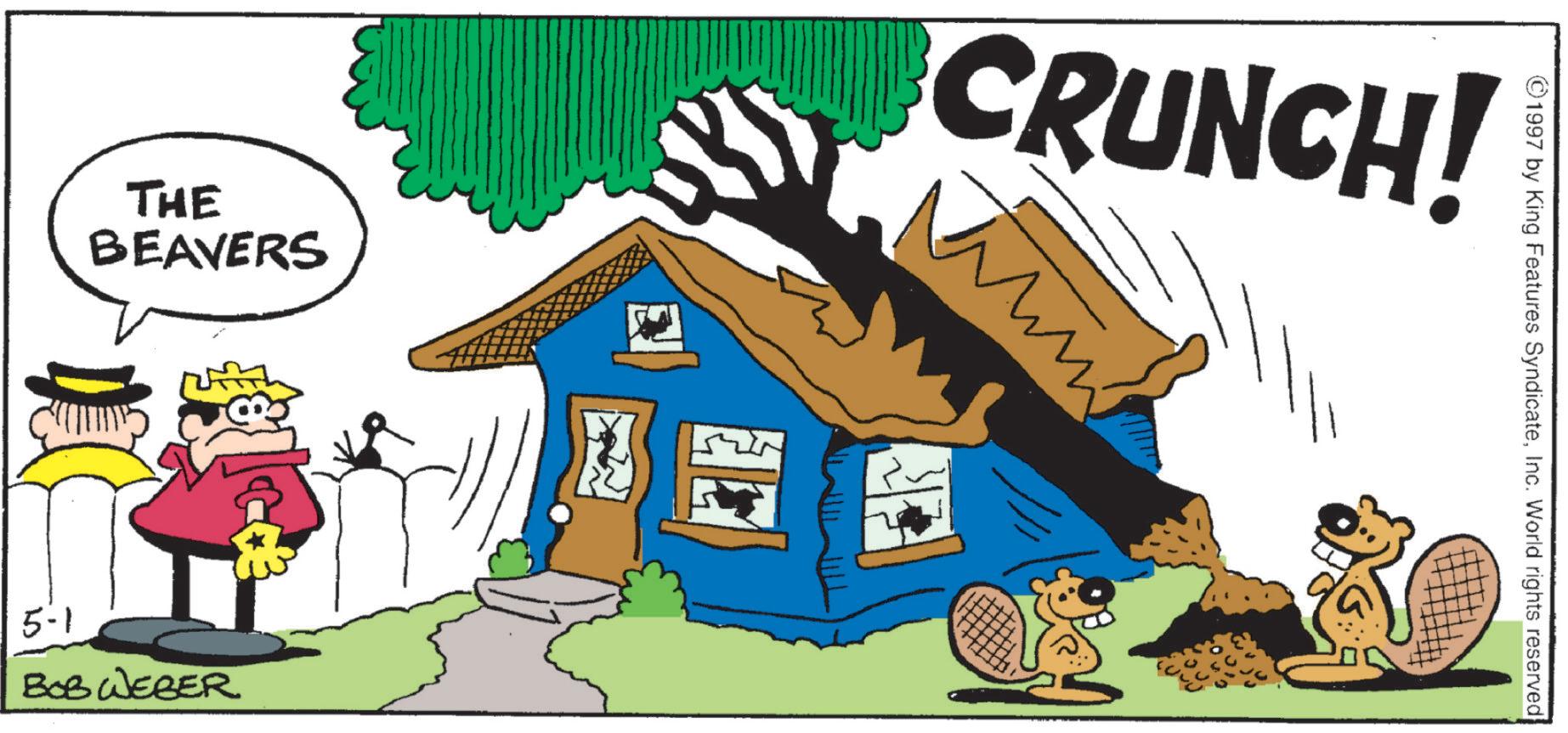 Graphics OCR: THE BEAVERS 5-1 BOB WEBER CRUNCH! ??? 1997 by King Features SyndicateInc. World rights reserved THE BEAVERS 5-1 BOB WEBER CRUNCH ! ??? 1997 by King Features SyndicateInc. World rights reserved