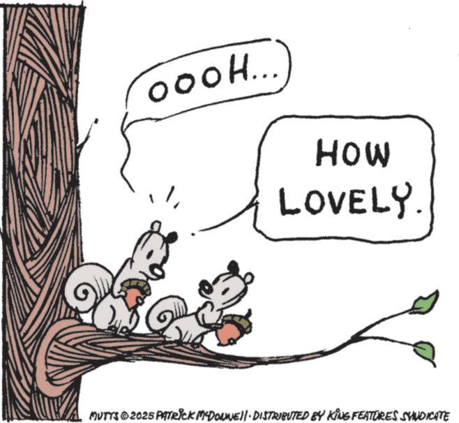 Animated cartoon OCR: oooH... HOW LOVELY. MUTTS ©2025 PATRICK MCDONNEll · DISTRIBUTED BY KING FEATURES SYNDICATE oooH ... HOW LOVELY . MUTTS © 2025 PATRICK MCDONNEll · DISTRIBUTED BY KING FEATURES SYNDICATE