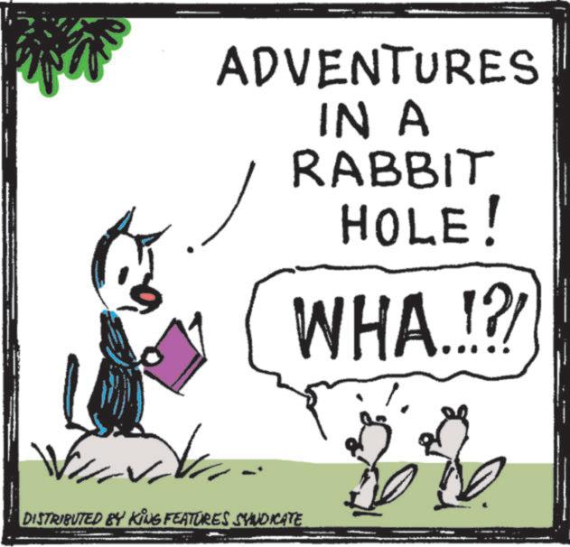 Line art OCR: ADVENTURES IN A RABBIT HOLE! WHA.!?! DISTRIBUTED BY KING FEATURES SYNDICATE ADVENTURES IN A RABBIT HOLE ! WHA . ! ? ! DISTRIBUTED BY KING FEATURES SYNDICATE