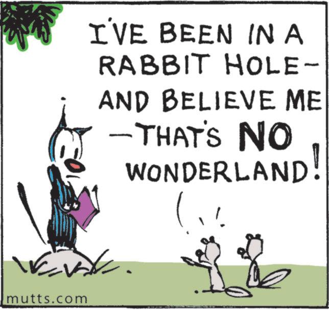 Photo caption OCR: mutts.com I'VE BEEN IN A RABBIT HOLE- AND BELIEVE ME -THAT'S NO WONDERLAND! mutts.com I'VE BEEN IN A RABBIT HOLE- AND BELIEVE ME -THAT'S NO WONDERLAND !
