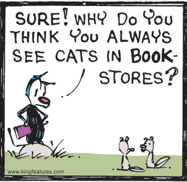Animation OCR: SURE! WHY Do You THINK YOU ALWAYS SEE CATS IN BOOK- ? STORES? 11 |: 2. www.kingfeatures.com SURE ! WHY Do You THINK YOU ALWAYS SEE CATS IN BOOK- ? STORES ? 11 | : 2 . www.kingfeatures.com