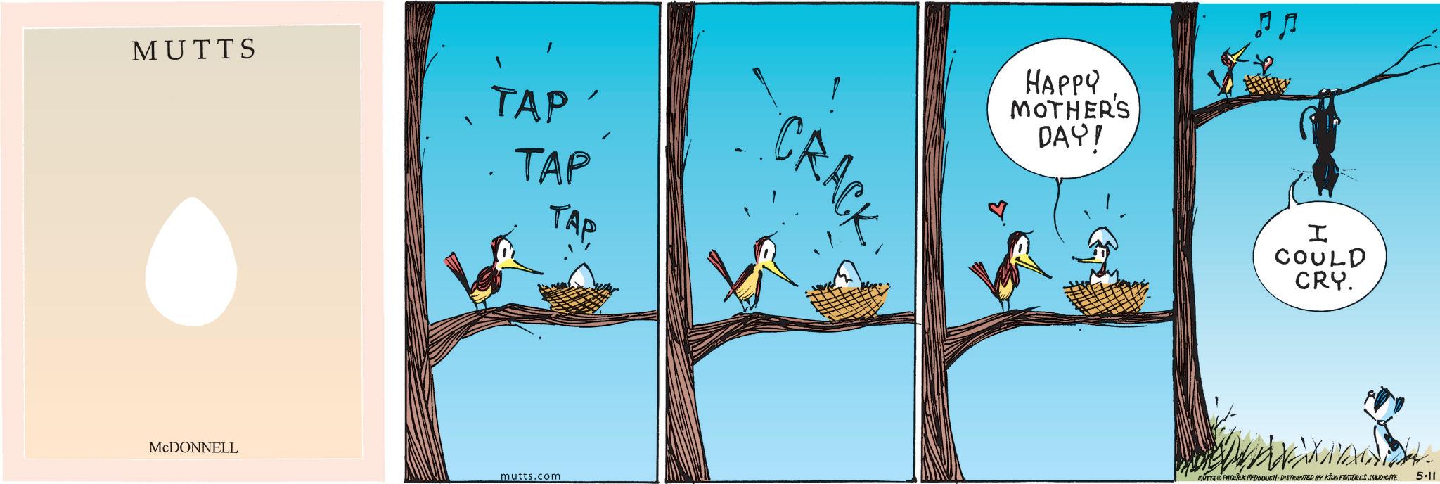 Beak OCR: MUTTS TAP TAP TAP MCDONNELL mutts.com CRACK HAPPY MOTHER'S DAY! I COULD CRY. MUTTS PATRICK MEDONNE DISTRIBUTED BY KING FEATURES SYNDICATE 5-11 MUTTS TAP TAP TAP MCDONNELL mutts.com CRACK HAPPY MOTHER'S DAY ! I COULD CRY . MUTTS PATRICK MEDONNE DISTRIBUTED BY KING FEATURES SYNDICATE 5-11