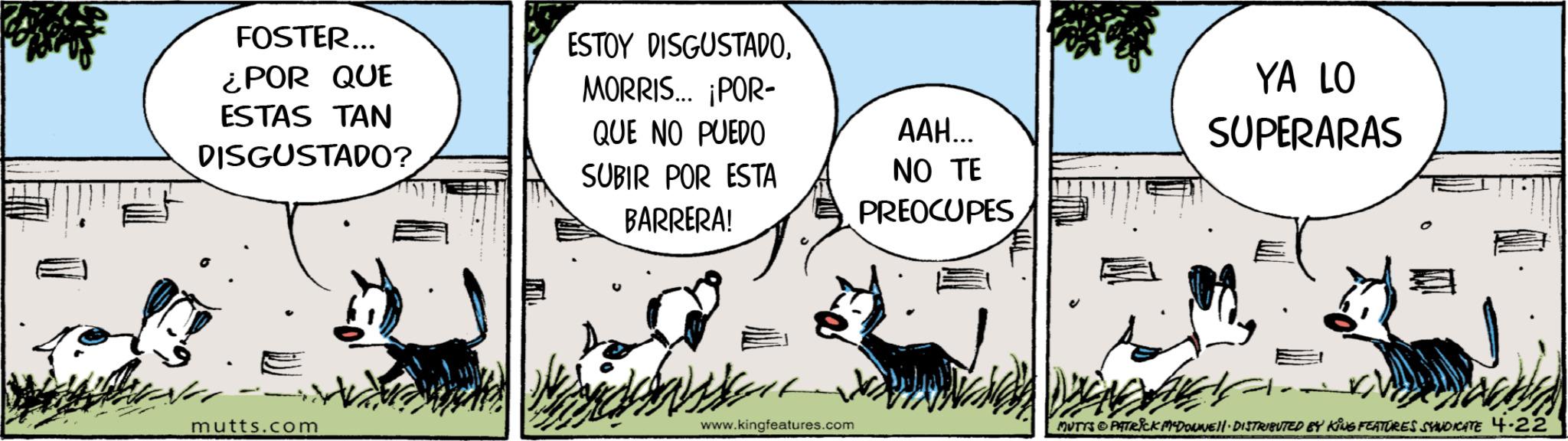 Graphics OCR: FOSTER... ¿POR QUE ESTAS TAN DISGUSTADO? ESTOY DISGUSTADOMORRIS... ¡POR- QUE NO PUEDO SUBIR POR ESTA BARRERA! ???... NO TE PREOCUPES YA LO SUPERARAS mutts.com www.kingfeatures.com MUTTS & PATRICK MYDONNE · DISTRIBUTED BY KING FEATURES SYNDICATE 4.22 FOSTER ... ¿ POR QUE ESTAS TAN DISGUSTADO ? ESTOY DISGUSTADOMORRIS ... ¡ POR- QUE NO PUEDO SUBIR POR ESTA BARRERA ! ??? ... NO TE PREOCUPES YA LO SUPERARAS mutts.com www.kingfeatures.com MUTTS & PATRICK MYDONNE · DISTRIBUTED BY KING FEATURES SYNDICATE 4.22