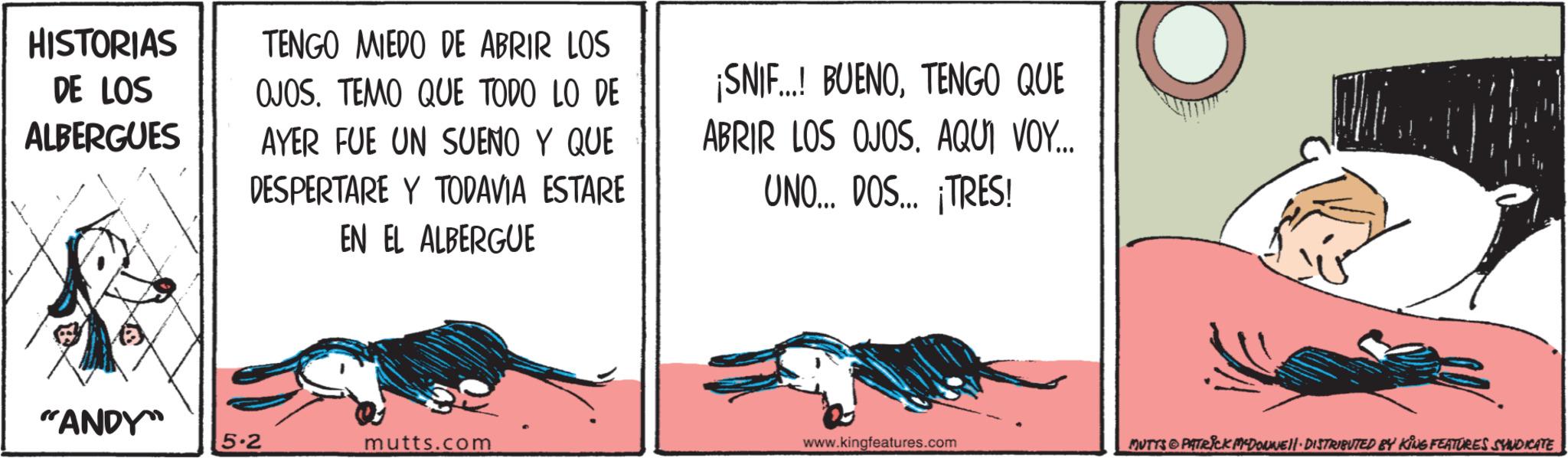 Animated cartoon OCR: HISTORIAS DE LOS ALBERGUES TENGO MIEDO DE ABRIR LOS OJOS. TEMO QUE TODO LO DE AYER FUE UN SUEÑO Y QUE DESPERTARE Y TODAVIA ESTARE EN EL ALBERGUE ¡SNIF...! BUENOTENGO QUE ABRIR LOS OJOS. AQUI VOY... UNO... DOS... ¡TRES! "ANDY 5.2 mutts.com www.kingfeatures.com MUTTS & PATRICK MCDONNEll · DISTRIBUTED BY KING FEATURES SYNDICATE HISTORIAS DE LOS ALBERGUES TENGO MIEDO DE ABRIR LOS OJOS . TEMO QUE TODO LO DE AYER FUE UN SUEÑO Y QUE DESPERTARE Y TODAVIA ESTARE EN EL ALBERGUE ¡ SNIF ... ! BUENOTENGO QUE ABRIR LOS OJOS . AQUI VOY ... UNO ... DOS ... ¡ TRES ! " ANDY 5.2 mutts.com www.kingfeatures.com MUTTS & PATRICK MCDONNEll · DISTRIBUTED BY KING FEATURES SYNDICATE