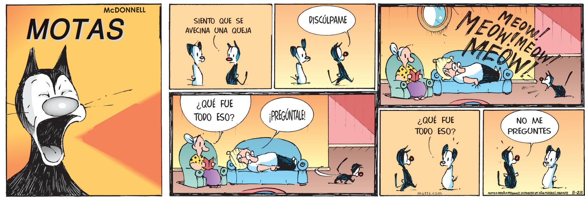 Felidae OCR: MCDONNELL MOTAS SIENTO QUE SE AVECINA UNA QUEJA DISCÚLPAME ¿QUÉ FUE TODO ESO? MEOW! MEOW!MEOW MEOWA ¡PREGUNTALE! ¿QUÉ FUE TODO ESO? NO ME PREGUNTES mutts.com MUTTS PATRICK MYDOUNE DISTRIBUTED BY KING FEATURES SYNDICATE 5-25 MCDONNELL MOTAS SIENTO QUE SE AVECINA UNA QUEJA DISCÚLPAME ¿ QUÉ FUE TODO ESO ? MEOW ! MEOW ! MEOW MEOWA ¡ PREGUNTALE ! ¿ QUÉ FUE TODO ESO ? NO ME PREGUNTES mutts.com MUTTS PATRICK MYDOUNE DISTRIBUTED BY KING FEATURES SYNDICATE 5-25