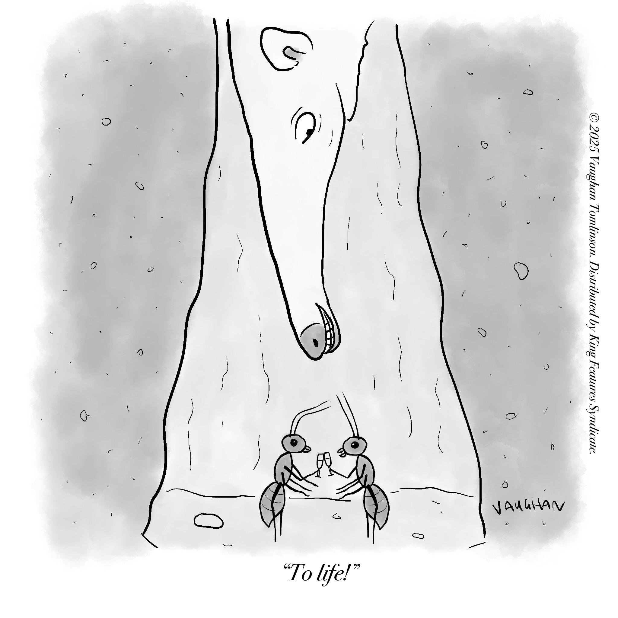 Diagram OCR: L ? ©2025 Vaughan Tomlinson. Distributed by King Features Syndicate. ? P ? 0 VAUGHAN "To life!" L ? © 2025 Vaughan Tomlinson . Distributed by King Features Syndicate . ? P ? 0 VAUGHAN " To life ! "
