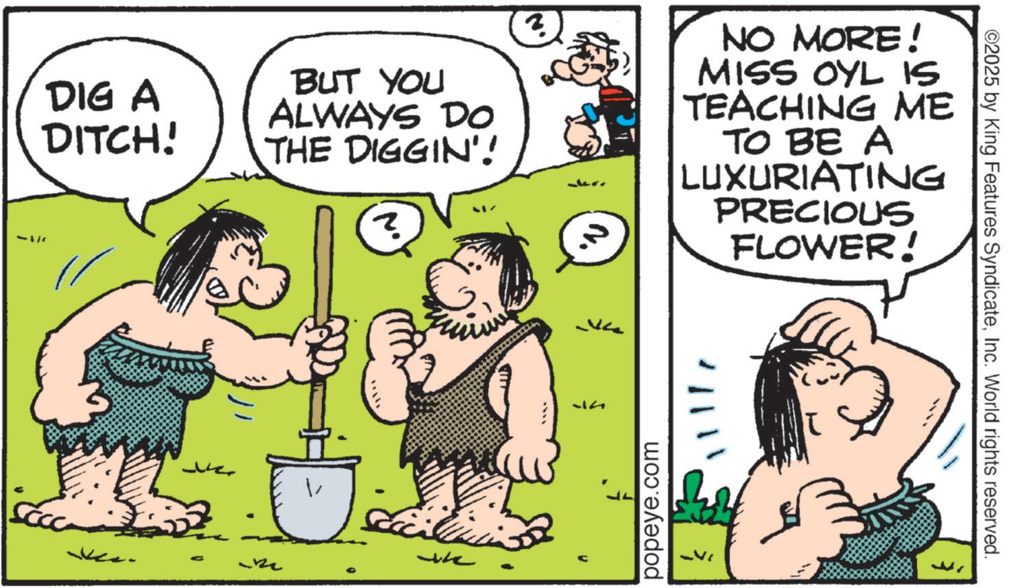 Animated cartoon OCR: -11 DIG A DITCH! BUT YOU ALWAYS DO THE DIGGIN'! ? NO MORE! MISS OYL IS TEACHING ME TO BE A LUXURIATING PRECIOUS FLOWER! ??? -14 popeye.com ©2025 by King Features SyndicateInc. World rights reserved. -11 DIG A DITCH ! BUT YOU ALWAYS DO THE DIGGIN ' ! ? NO MORE ! MISS OYL IS TEACHING ME TO BE A LUXURIATING PRECIOUS FLOWER ! ??? -14 popeye.com © 2025 by King Features SyndicateInc. World rights reserved .