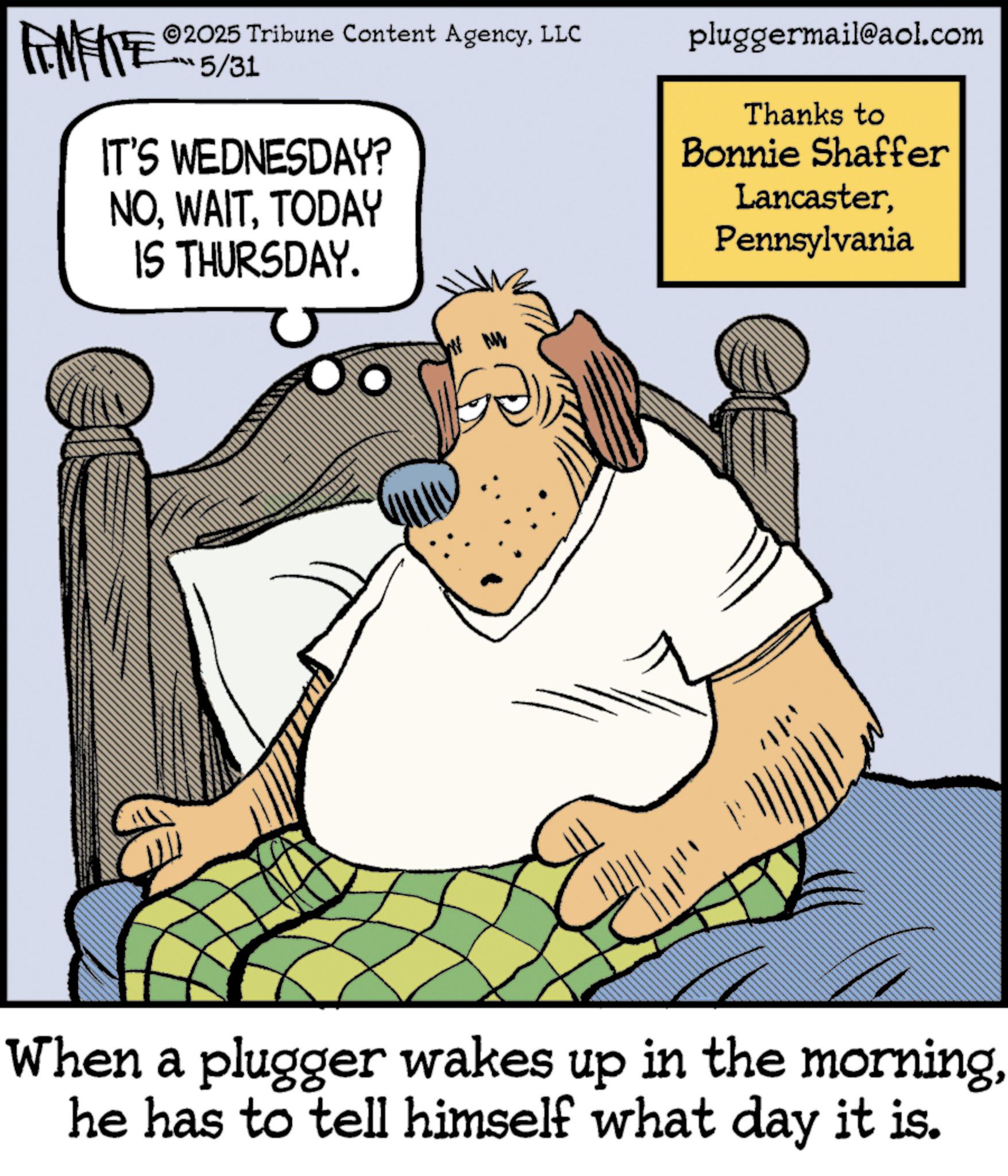 Photo caption OCR: 2025 Tribune Content AgencyLLC ??? 5/31 IT'S WEDNESDAY? NOTODAY IS THURSDAY. ????? pluggermail@aol.com Thanks to Bonnie Shaffer LancasterPennsylvania When a plugger wakes up in the morninghe has to tell himself what day it is. 2025 Tribune Content AgencyLLC ?? ? 5/31 IT'S WEDNESDAY ? NOTODAY IS THURSDAY . ????? pluggermail@aol.com Thanks to Bonnie Shaffer LancasterPennsylvania When a plugger wakes up in the morninghe has to tell himself what day it is .