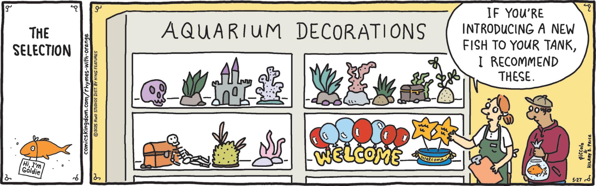 Fiction OCR: g THE SELECTION HiI'm Goldie b 2 comicskingdom.com/rhymes-with-orange 2025 RWO STUDIOS DIST. BY KING FEATURES 13 ??? -YOUR- AQUARIUM DECORATIONS MAA IF YOU'RE INTRODUCING A NEW FISH TO YOUR TANKI RECOMMEND THESE. m ? WELCOME welcome. 5-27 Piccolo HILARY B. PRICE q g THE SELECTION HiI'm Goldie b 2 comicskingdom.com/rhymes-with-orange 2025 RWO STUDIOS DIST . BY KING FEATURES 13 ??? -YOUR- AQUARIUM DECORATIONS MAA IF YOU'RE INTRODUCING A NEW FISH TO YOUR TANKI RECOMMEND THESE . m ? WELCOME welcome . 5-27 Piccolo HILARY B. PRICE q