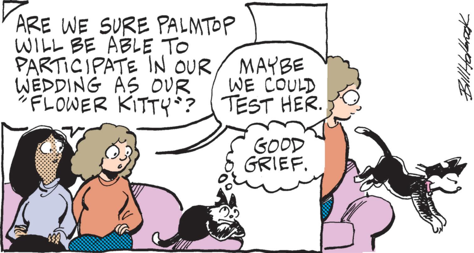 Animation OCR: ARE WE SURE PALMTOP WILL BE ABLE TO PARTICIPATE IN OUR WEDDING AS OUR "FLOWER KITTY"? MAYBE WE COULD TEST HER. GOOD GRIEF. Bill Holbook ARE WE SURE PALMTOP WILL BE ABLE TO PARTICIPATE IN OUR WEDDING AS OUR " FLOWER KITTY " ? MAYBE WE COULD TEST HER . GOOD GRIEF . Bill Holbook