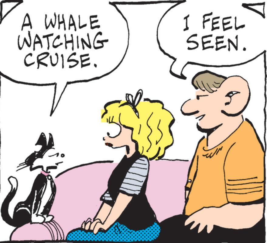 Graphics OCR: A WHALE WATCHING CRUISE. I FEEL SEEN. ??? A WHALE WATCHING CRUISE . I FEEL SEEN . ???